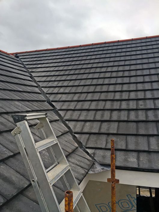 Glendoick – Roof Glendoick - Roof