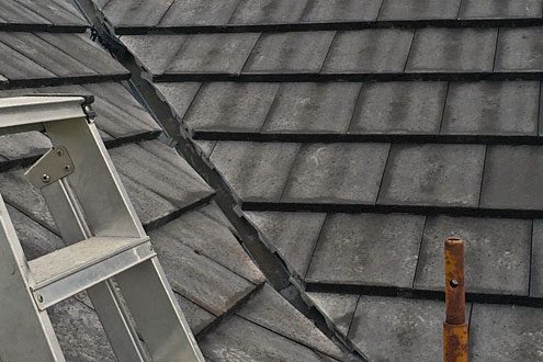 Glendoick - Roof